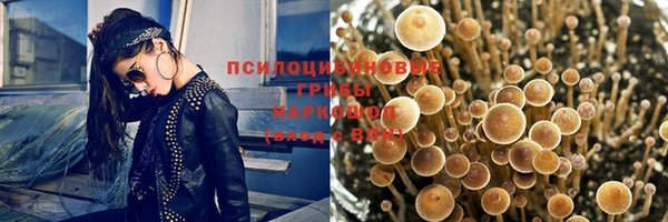 гашик Каменногорск