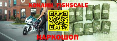 гашик Славгород