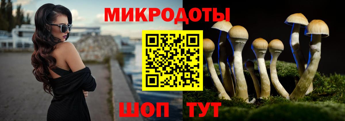 Реутов  Галлюциногенные грибы Psilocybe  Вход с VPN 